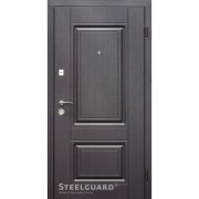 Входные двери Steelguard DO 30 