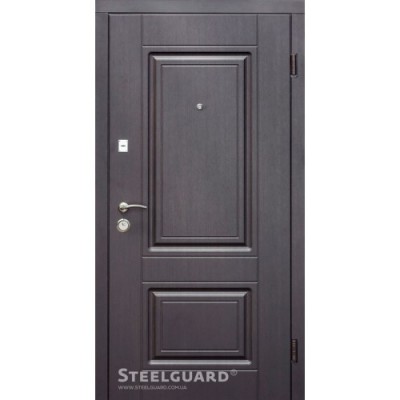 Входные двери Steelguard DO 30 