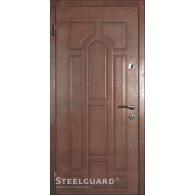 Входные двери Steelguard ПК М 149  DK 